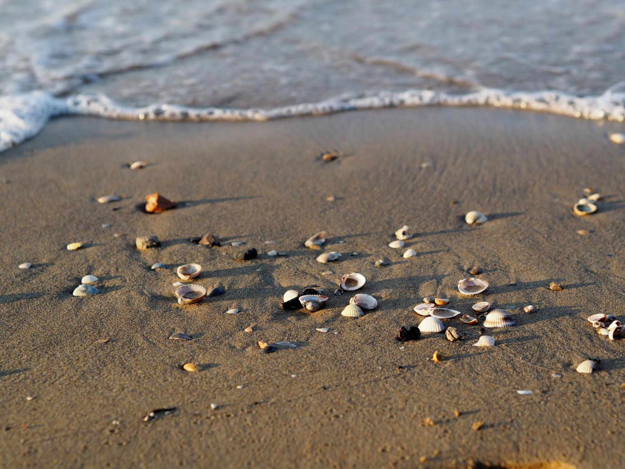 Beautiful Apartment Close To Bibione Beach - Beahost Buitenkant foto