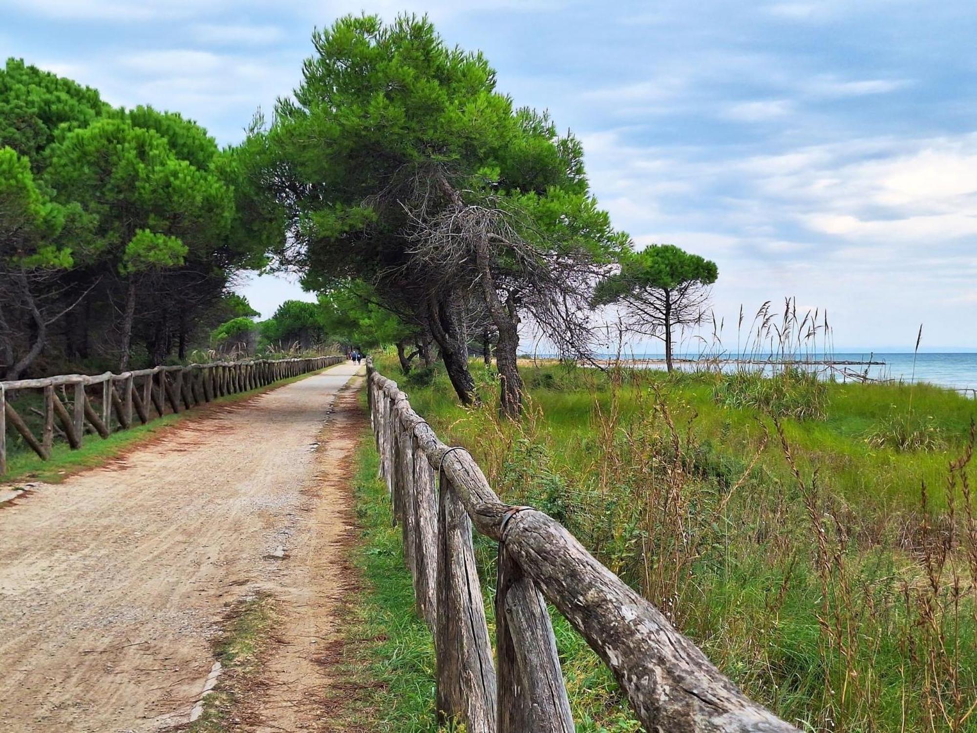 Beautiful Apartment Close To Bibione Beach - Beahost Buitenkant foto